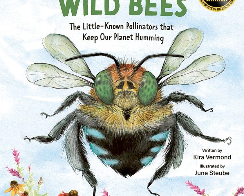 Children’s Non-Fiction: The Buzz on Wild Bees